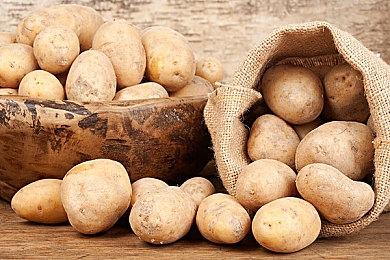 《仁王3》颠覆性加入忍者战斗风格 灵感取自《忍龙》